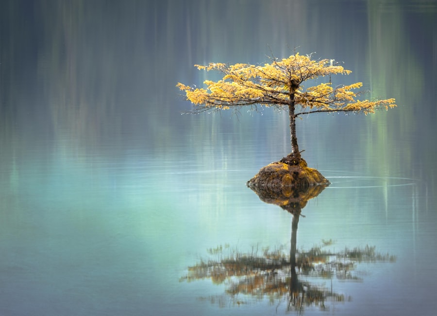 ThetaHealing seansını temsil eden dingin su üzerinde ağaç